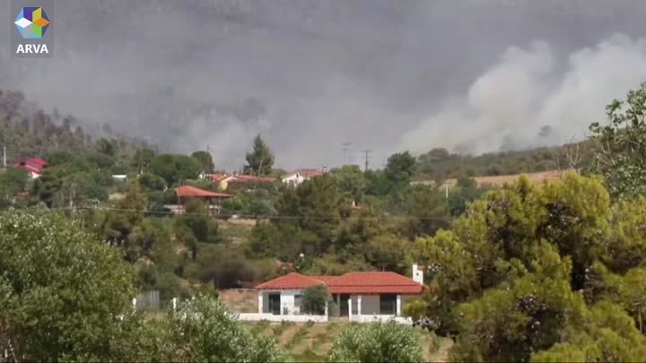 В прямом эфире: лесные пожары продолжаются в Греции третий день,