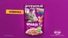 RUSSIA_WHISKAS_SocialContent(VideoPosts)_6sec_2018_135
