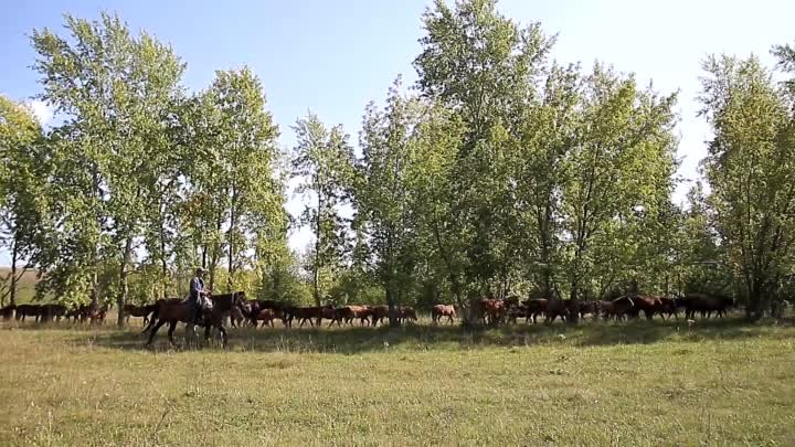 КУРМАНКЕЕВСКИЙ СЕЛЬ-СОВЕТ.