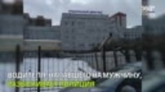 Стрельба у роддома в Петербурге. Есть пострадавшие