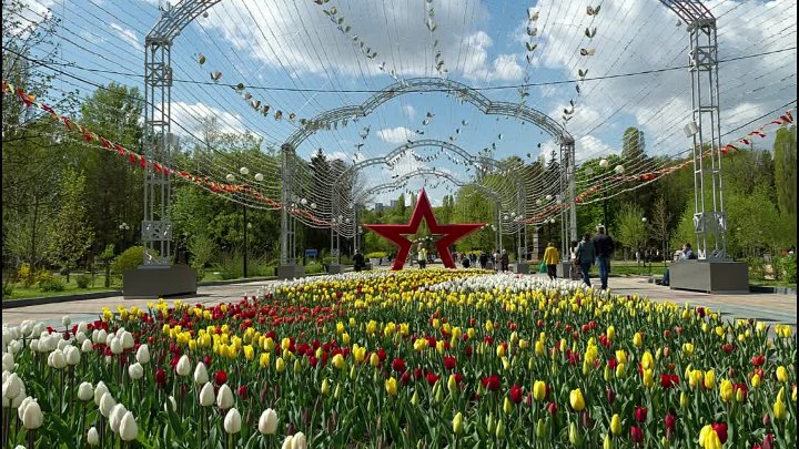 Арт фото белгород Арт фото белгород