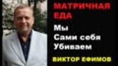 Матричная еда. Мы сами себя убиваем. Виктор Ефимов