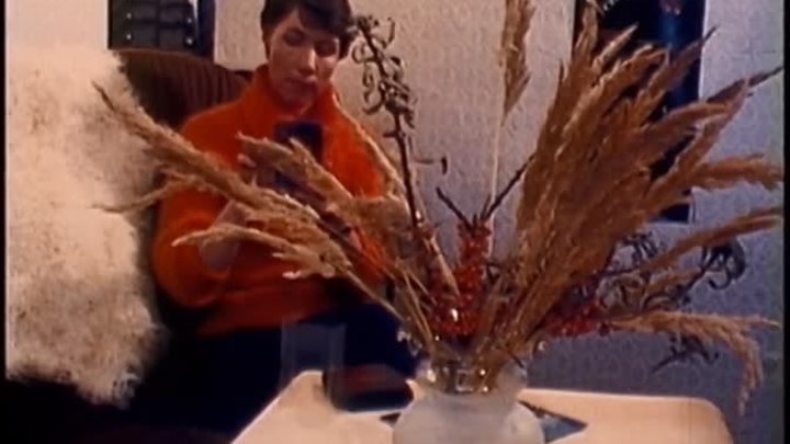 Рекламный ролик фирмы Новая Заря 1988 г