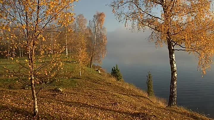 ...покой в душе и в сердце обрету.