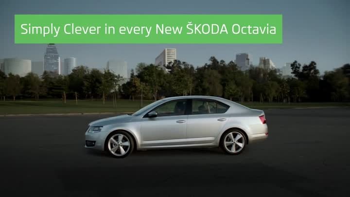 ŠKODA SImply Clever Отсек для 0,5-литровой бутылки