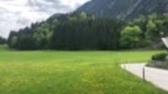 Альпийские луга в Австрии.