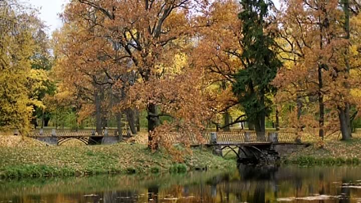 Осень в Александровском парке. Фотограф Владимир Коновалов.