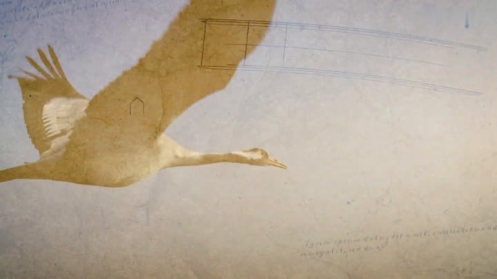 Pájaros robóticos el sueño de Leonardo se hace realidad en Sevilla EL PAÍS_1080p (online-video-cutter.com)