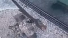 Обломки беспилотника в «Москва-Сити», видео из соцсетей