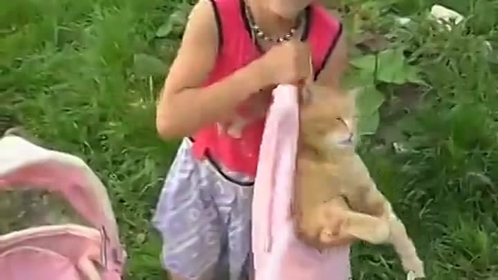 Самый терпеливый кот в мире))