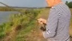Уральские Пельмени на рыбалке