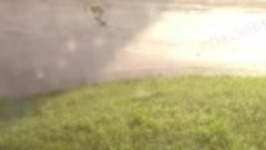 Видео от Прокопьевск.ру - дети подкладывают бомбочки под авт...