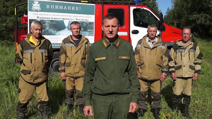 Вяземский филиал. ОГБУ лесопожарная служба Смоленской области. ОГБУ лесопожарная служба Смоленской области рисунок. ОГБУ лесопожарная служба Смоленской области вакансии.