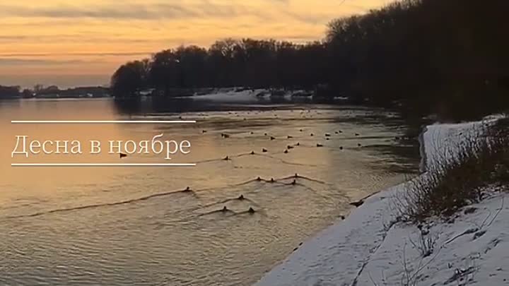 Десна у листопаді Автор відео: Andrey Sidorenko