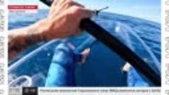 В Австралии заметили кита в необычной позе — Москва24 | Конт...