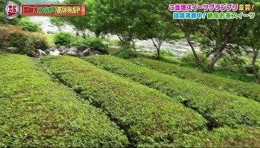 おかべろ 230806 動画 高知でのんびり夏休みSP！ | 2023年8月6日