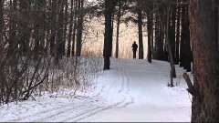 Зимняя прогулка N4