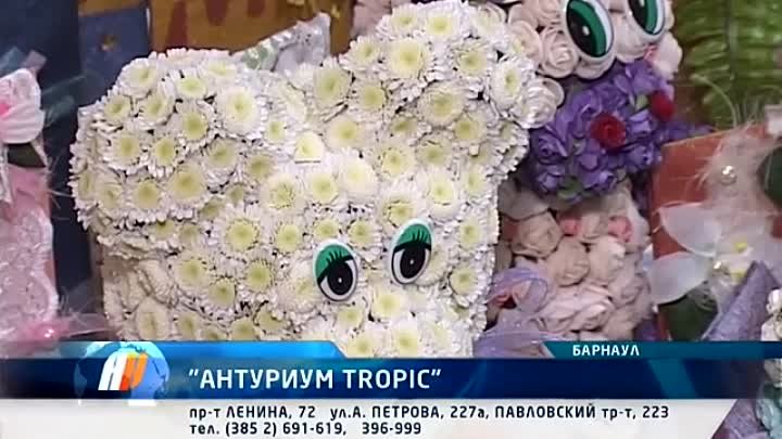 Цветочная феерия от Антуриум Tropic (Барнаул)