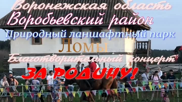 Благотворительный концерт « За Родину!», ломовской парк