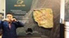 Презентация пещеры Шульган-таш и геопарка Янган-Тау в Париже