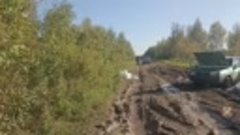 Страшный случай из Омской области: женщина с детьми утонула ...