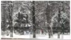 Зима в Дубовом парке (1)