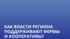 Как власти региона поддерживают фермы и кооперативы