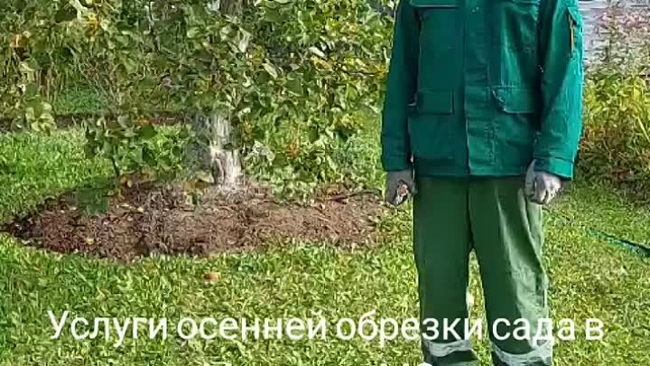 Заказать услуги осенней обрезки деревьев в Москве и МО по т. 84956695223