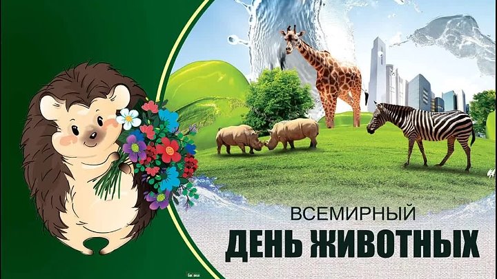 4 октября день защиты животных фото 4 октября день защиты животных фото