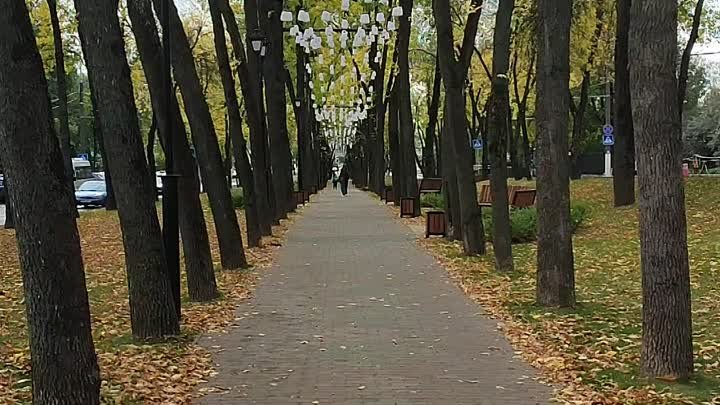 Витебск. Осень...