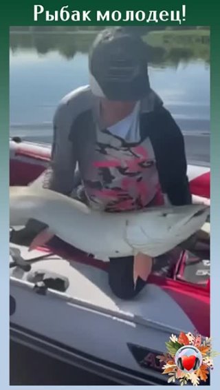 Рыбак поймал гигантскую щуку-альбиноса и отпустил ее!