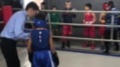 Открытый городской турнир в Almaty Boxing Club 03.11.2019г. ...