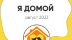 Рубрика &quot;Я домой&quot; на связи! 37 счастливых собачек уехали дом...