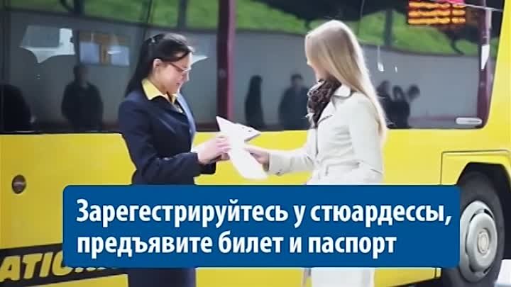 Узнайте о сервисе в компании Ecolines.