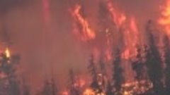 Чудовищные лесные пожары превращают Канаду в пепел 