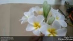 ดอกลีลาวดี (Plumeria flower) How to make nylon flower (Plume...