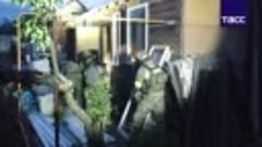 Готовившие теракт боевики нейтрализованы в Кольчугине