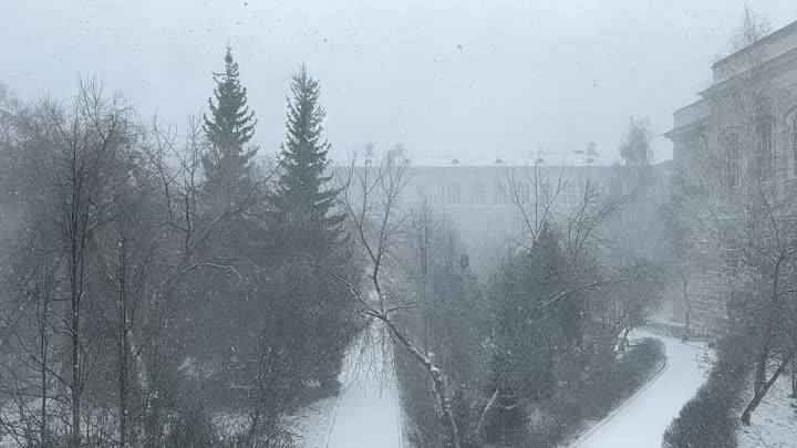 Первый снег в кампусе Томского политеха!