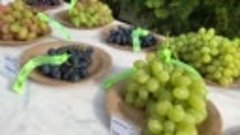 Праздник винограда