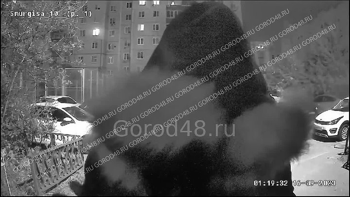 Бишимбаев запись с камер видеонаблюдения
