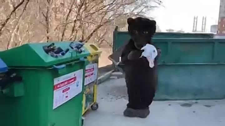 Официальный медведь Новосибирска сортирует отходы
