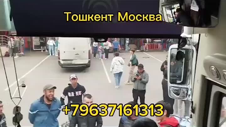 Россия Ташкент Таджикистан Автобус Хизмати 