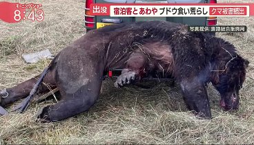 羽鳥慎一モーニングショー 230915 動画 | 2023年9月15日