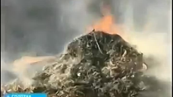 Пожары в Солотче
