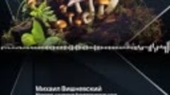 Как правильно собирать грибы | Михаил Вишневский