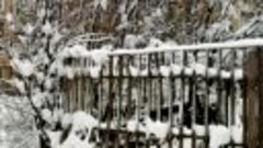 Зима, снег и трель птичек. Донецк (ДНР), 10.01.2019 #донецк ...