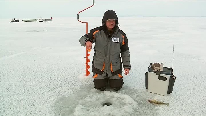 Ловля судака и берша зимой видео