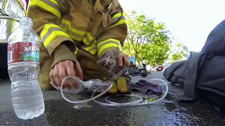 Пожарный спасает котенка.GoPro_ Fireman Saves Kitten