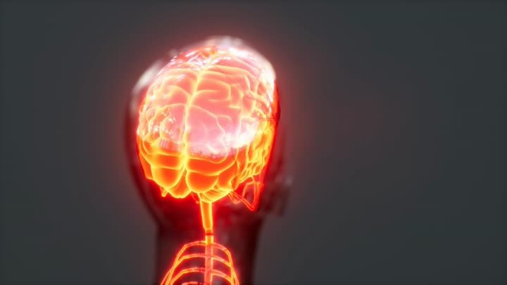 human-headache-concept-glowing-xray-brain-2022-08-10-17-32-06-utc (o ...
