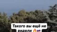 Житель Крыма спел гимн России в бывшей квартире Зеленского